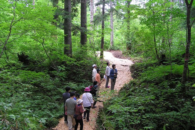 Shiratani-Unsuikyo Trekking Tour in Yakushima Island - Cancellation Policy