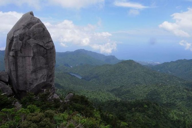 Granite Obelisk in Yakushima Full-Day Trekking Tour - What to Bring