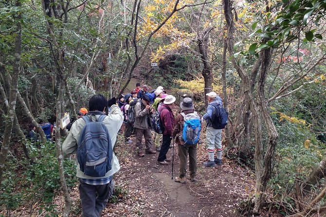 Granite Obelisk in Yakushima Full-Day Trekking Tour - Meeting and Pickup