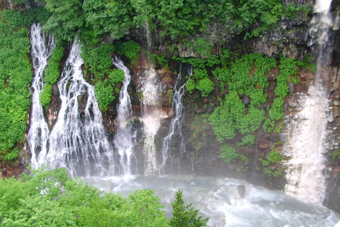 Private Tour: Full-Day Walking Tour With Professional Local Guide in Yakushima Island - Itinerary