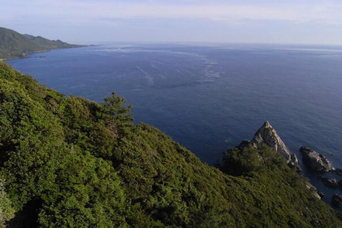 Private Tour: Full-Day Walking Tour With Professional Local Guide in Yakushima Island - Additional Info