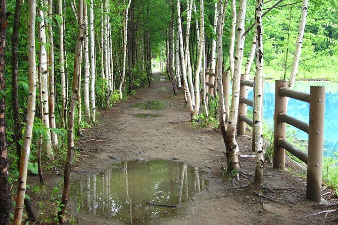 Private Tour: Full-Day Walking Tour With Professional Local Guide in Yakushima Island - Conclusion