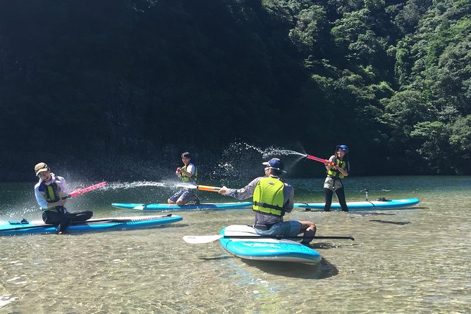 [Recommended on Arrival Date or Before Leaving! ] Relaxing and Relaxing Water Walk Awakawa River SUP [Half-Day Tour] - Activity Details