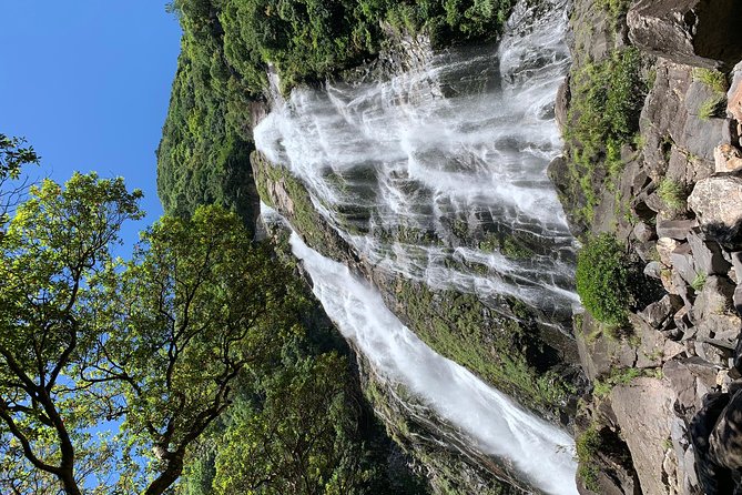 Discovery of Yakushima - Insider Tips for Exploring Yakushima