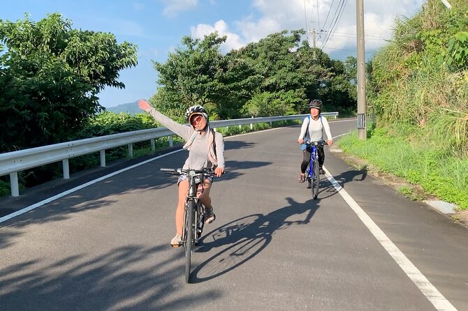 4 Hour Guided Cycling Experience in Yakushima - End Point and Return