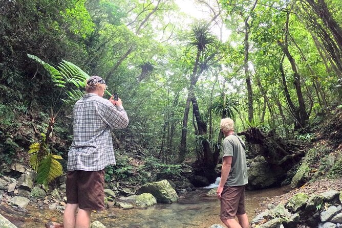 Amami Oshima Island Nature Highlights Day Tour - Key Takeaways