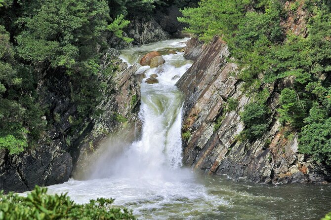 Yakushima Private Island Sights Tour With English Speaking Guide - Frequently Asked Questions