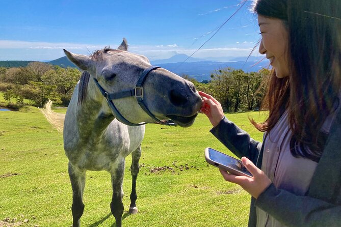 Pasture Hike With Horse Whisperer at Horse Trust in Kagoshima - Key Takeaways