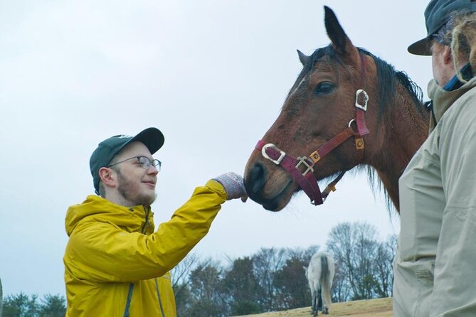 Pasture Hike With Horse Whisperer at Horse Trust in Kagoshima - Selecting Time and Availability