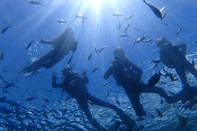 Popular Blue Cave Snorkel! [Okinawa Prefecture] Feeding & Photo Image Free! English, Chinese Guide Available! - Activities and Inclusions