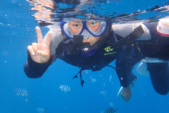 Popular Blue Cave Snorkel! [Okinawa Prefecture] Feeding & Photo Image Free! English, Chinese Guide Available! - Traveler Experiences and Recommendations