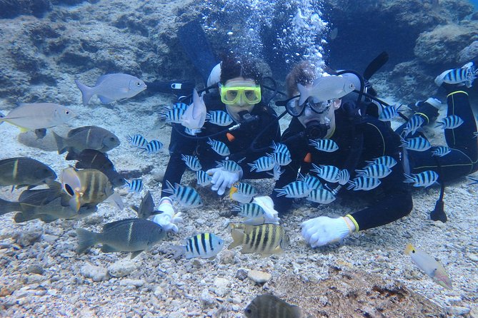 Blue Cave Experience Diving! [Okinawa Prefecture] Feeding & Photo Image Free! English, Chinese Guide Available! 1 Group With a Dedicated Instructor - Frequently Asked Questions