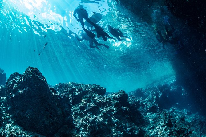 [Okinawa Blue Cave] Snorkeling and Easy Boat Holding! Private System Very Satisfied With the Beautiful Facilities of the Shop (With Photo and Video Shooting Service) - Blue Cave Ecosystem Exploration