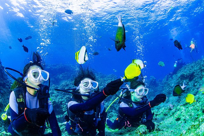 Blue Cave Experience Diving [Charter System / Boat Holding] | I Am Very Satisfied With the Beautiful Facilities of the Shop - Location and Meeting Point Details