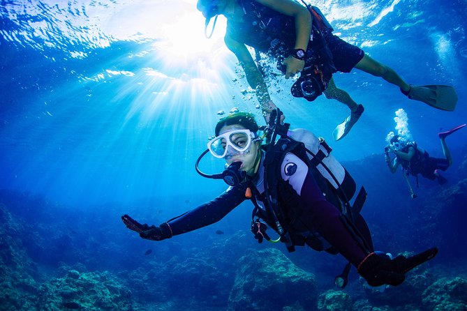 Blue Cave Experience Diving [Charter System / Boat Holding] | I Am Very Satisfied With the Beautiful Facilities of the Shop - Additional Insights and Highlights