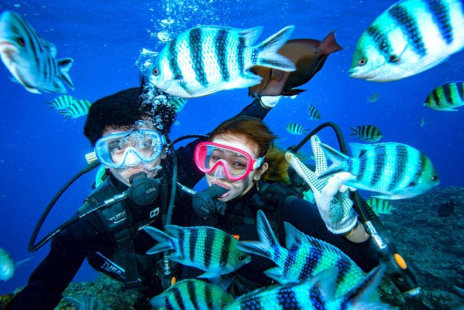 Experience Diving & Banana Boat by Boat - Cancellation Policy Details