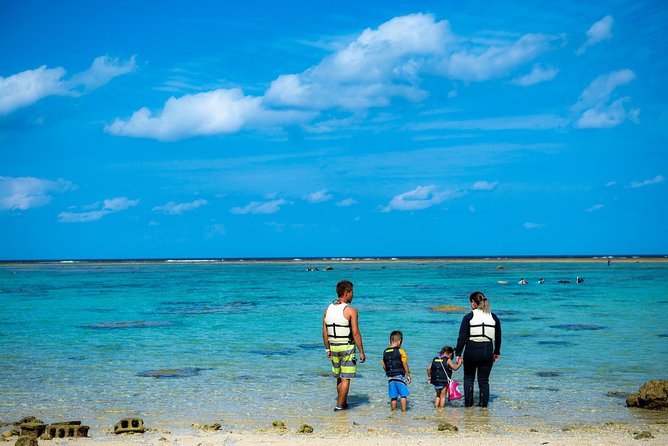 OK From 2 Years Old! / Sea Picnic & Snorkel - Requirements