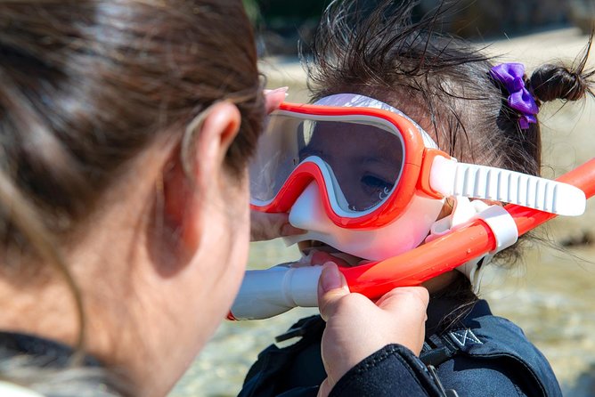 OK From 2 Years Old! / Sea Picnic & Snorkel - Directions