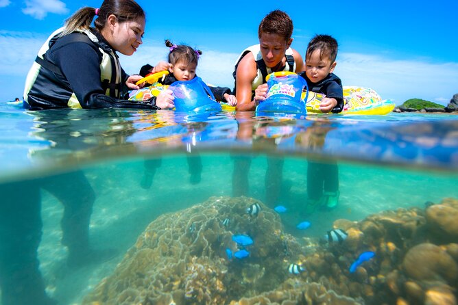 OK From 2 Years Old! / Sea Picnic & Snorkel - Conclusion