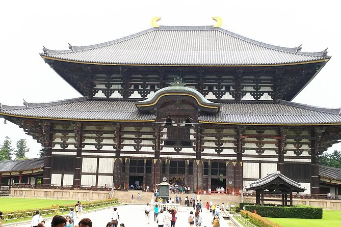 Relax in Nara: Deer Park, Todai-ji Temple and Merchants Town - Tranquil Nature Walks in Nara