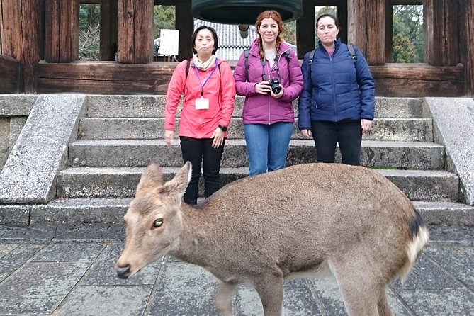 Nara Todaiji Lazy Bird Tour - Tour Logistics