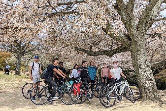 Nara - Heart of Nature Bike Tour - Key Takeaways