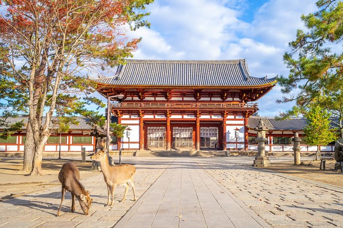 The Best of Nara Walking Tour - Scenic Parks and Gardens