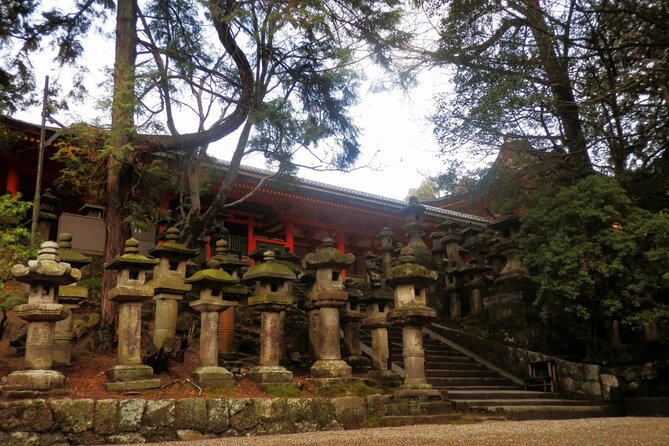 Private Journey in Nara's Historical Wonder - Local Culture Insights