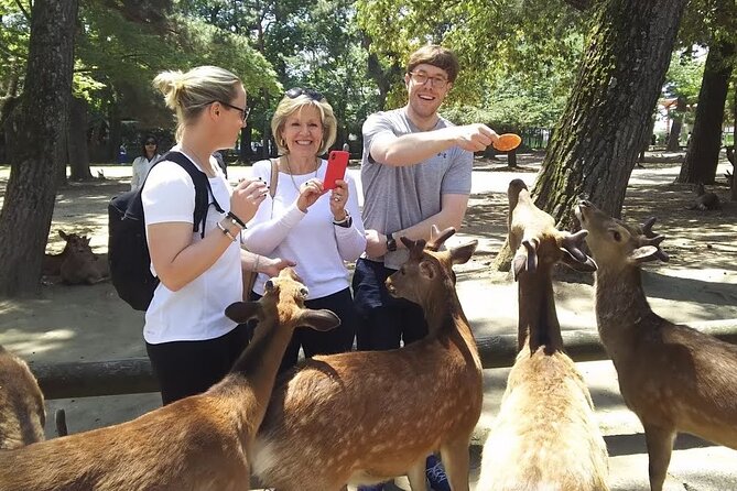 Nara Best Spots Private Tour With Licensed Guide (6h/8h) - Key Takeaways