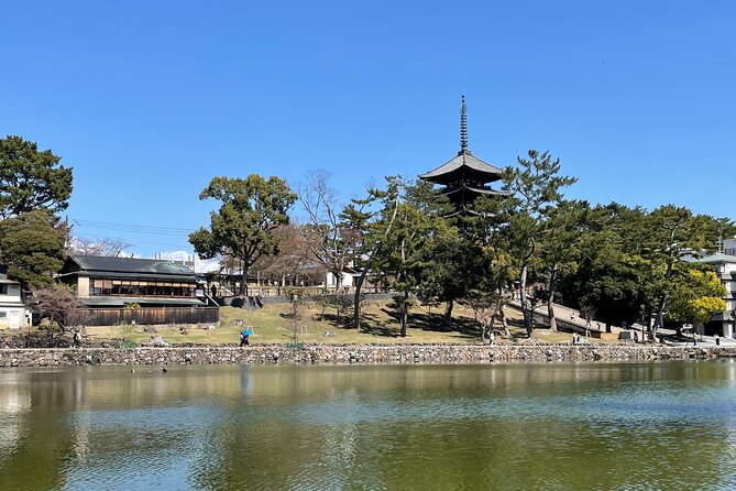 Nara Best Spots Private Tour With Licensed Guide (6h/8h) - Private Tour Benefits