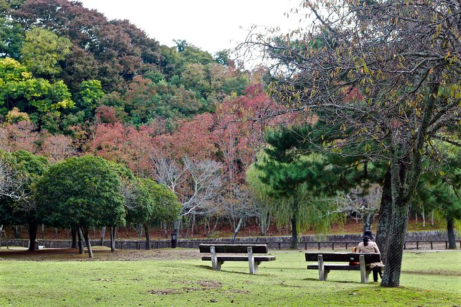 Nara Custom Half Day Tour - Cancellation Policy and Booking