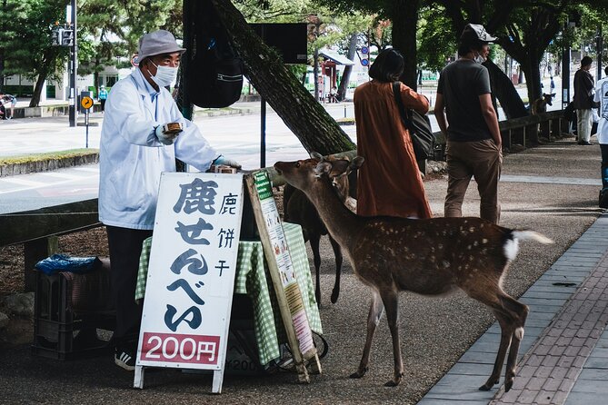 Nara Heritage Walkabout From Nara Park to Todaji Temple - Price and Payment Details