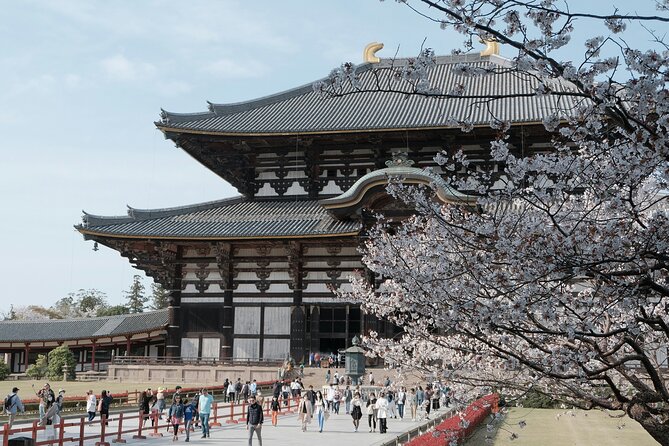 Nara Heritage Walkabout From Nara Park to Todaji Temple - Cancellation and Refund Policy