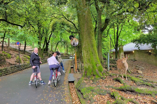 Explore Nara the Birthplace of the Country With E-Bike - Conclusion