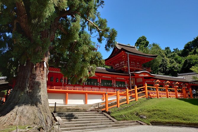 1 Hour Private Photoshoot in Nara - Inclement Weather Plans