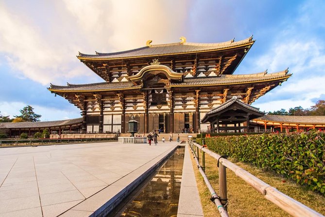 Nara World Heritage Private Tour - What to Expect