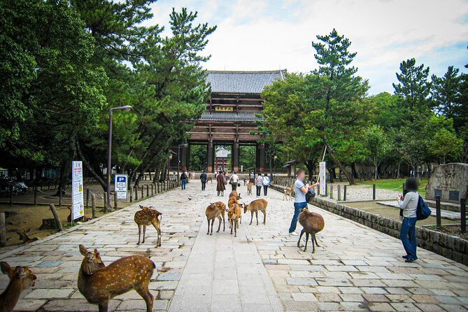 Nara World Heritage Private Tour - Special Offer