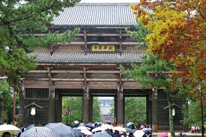 Nara World Heritage Private Tour - Reservation