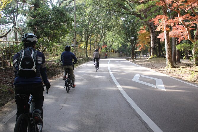 Private Bike Tour in Nara With Japanese Guide - Reviews and Testimonials