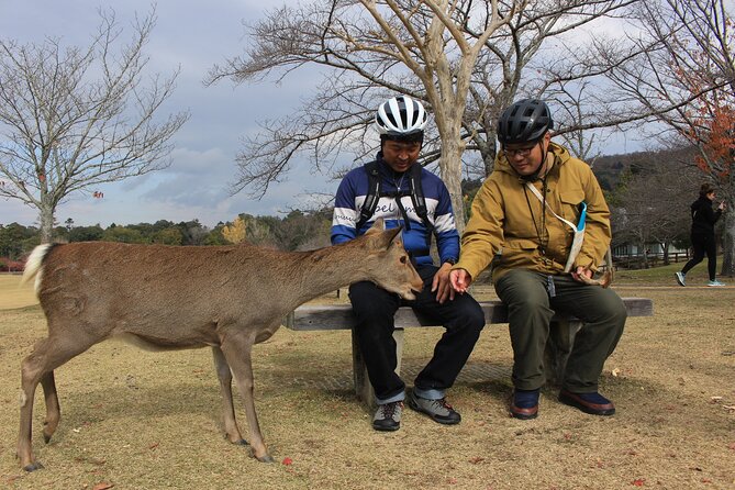 Private Bike Tour in Nara With Japanese Guide - Directions