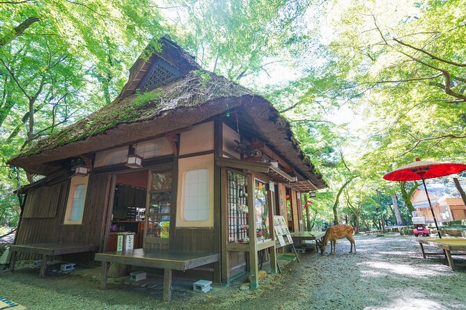 Nara Half Day Trip Walking Tour - Frequently Asked Questions