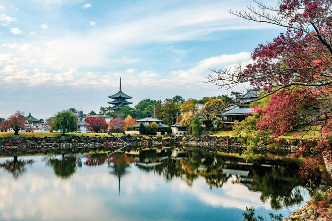 Nara Like a Local: Customized Private Tour - What To Expect During the Tour