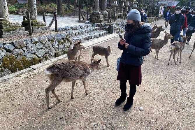 Nara Full-Day Private Tour With Government-Licensed Guide - Directions for Reserving Your Tour