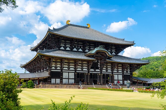 1 Day Walking Tour in Nara Palace Deer and Inkstick - Must-See Attractions