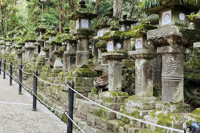 1 Day Walking Tour in Nara Palace Deer and Inkstick - Local Cuisine Highlights