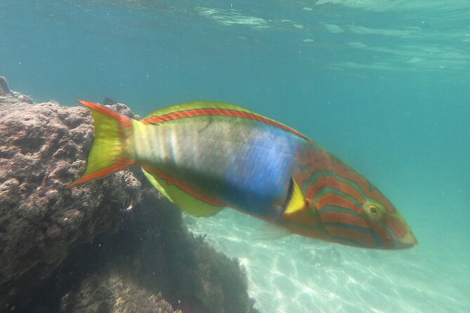 Private Snorkeling in Okinawa With Tropical Fish and Rock Pools - Equipment Included