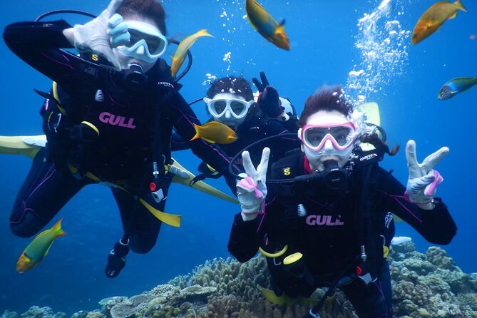 Trial Boat Dive 2 DIves at Minna or Sesoko, Okinawa - Key Takeaways