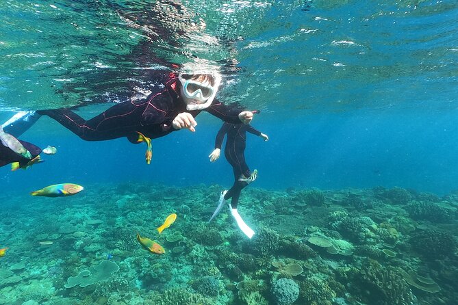 Boat Snorkeling Trip 1 Round at Minna Isl or Sesoko , Okinawa - Additional Details