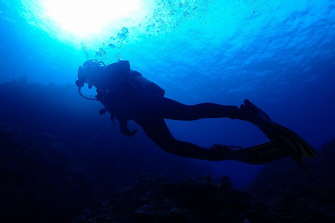 Okinawa Scuba Diving for Certified Divers (3 Boat Dives + Lunch) - Key Takeaways