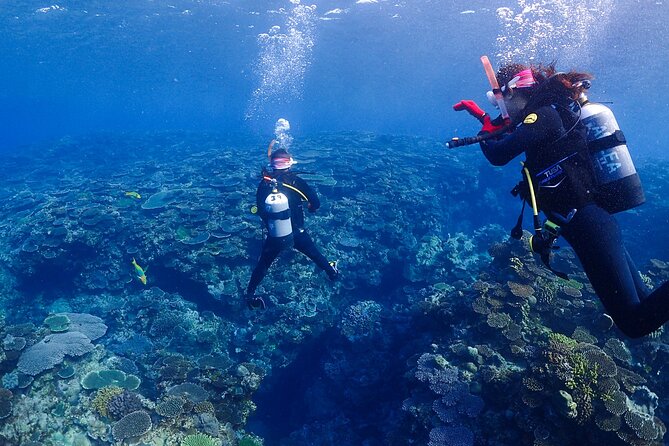 2-Day Private Deluxe Certification Course for Scuba Diving - Schedule and Timing